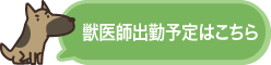 獣医師出勤予定はこちら